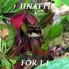 Iinatti for 1.1