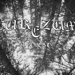 A Forest (Feat. Matron Thorn Of Ævangelist)