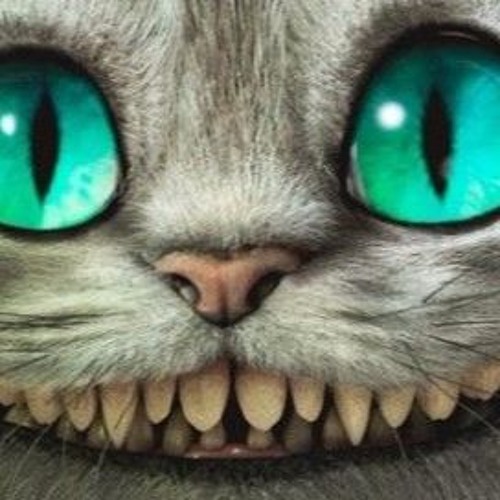 50 Palos Del Baúl De La Salsa... 2016  La Recopilación