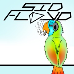 "Bird on a Wire" Remix - Sid Floyd