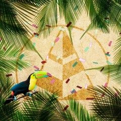 PSF - Ian Bruña & Hugo BL