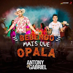 Antony E Gabriel - Bebendo Mais Que Opala