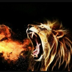 V Money - Raising The Bar