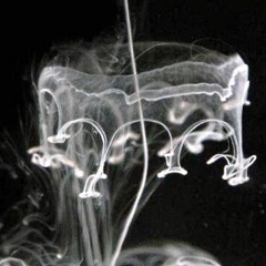 UNDRCRWND - Project XXX *Buy is Free DL*