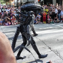 winslow