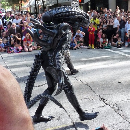winslow