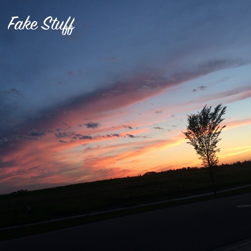 Fake Stuff (prod. by CaRter)