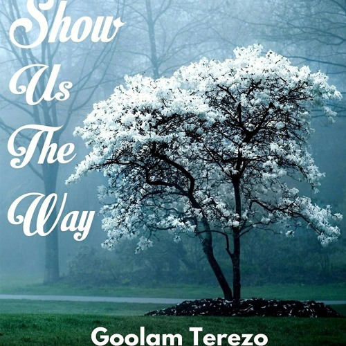 Goolam Terezo Show Us The Way Single Track
