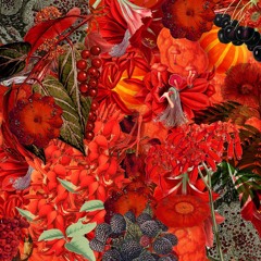 We Will Fail Mixtape for KALTBLUT