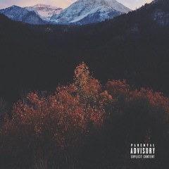 icameupyoucamedown- akathelonewolf (Prod. CamGotHits)
