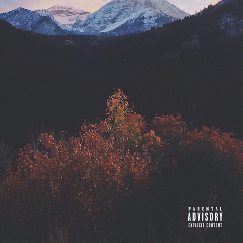 icameupyoucamedown- akathelonewolf (Prod. CamGotHits)