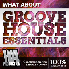 Groove House Essentials [Dannic, Dyro, Axwell style Kits, 550+ Drum & Bass Samples / Loops, Presets]