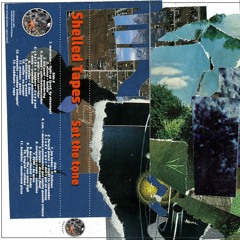 Set Tha Tone Compiled by Shelled Tapes (20 LIMITED EDITION TAPES)
