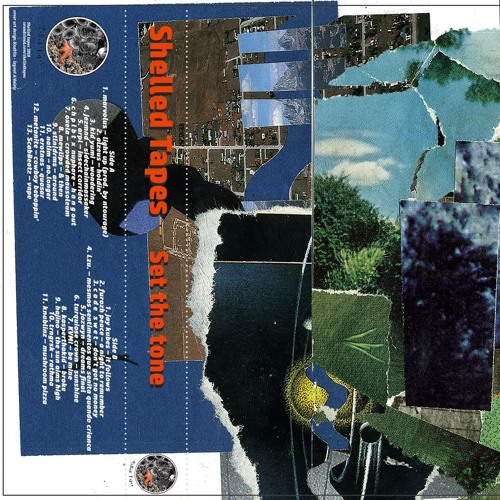 Set Tha Tone Compiled by Shelled Tapes (20 LIMITED EDITION TAPES)