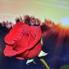 Chapulin Colorado (instrumental)