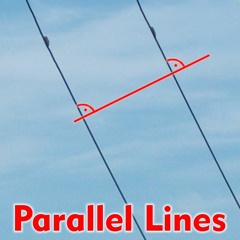 Parallel Lines