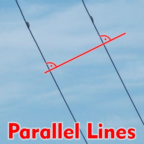 Parallel Lines