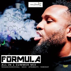 Formula "All in 1 Summer Mix"
