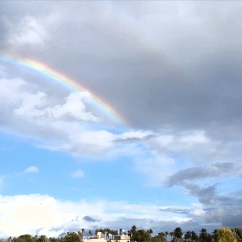 من صلاة التروايح مسجد النادي الاهلي بنغازي_سورة التوبة