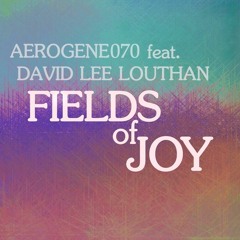 Fields of Joy - Lenny Kravitz Tribute - feat. David Lee Louthan on Vocal [See Description]