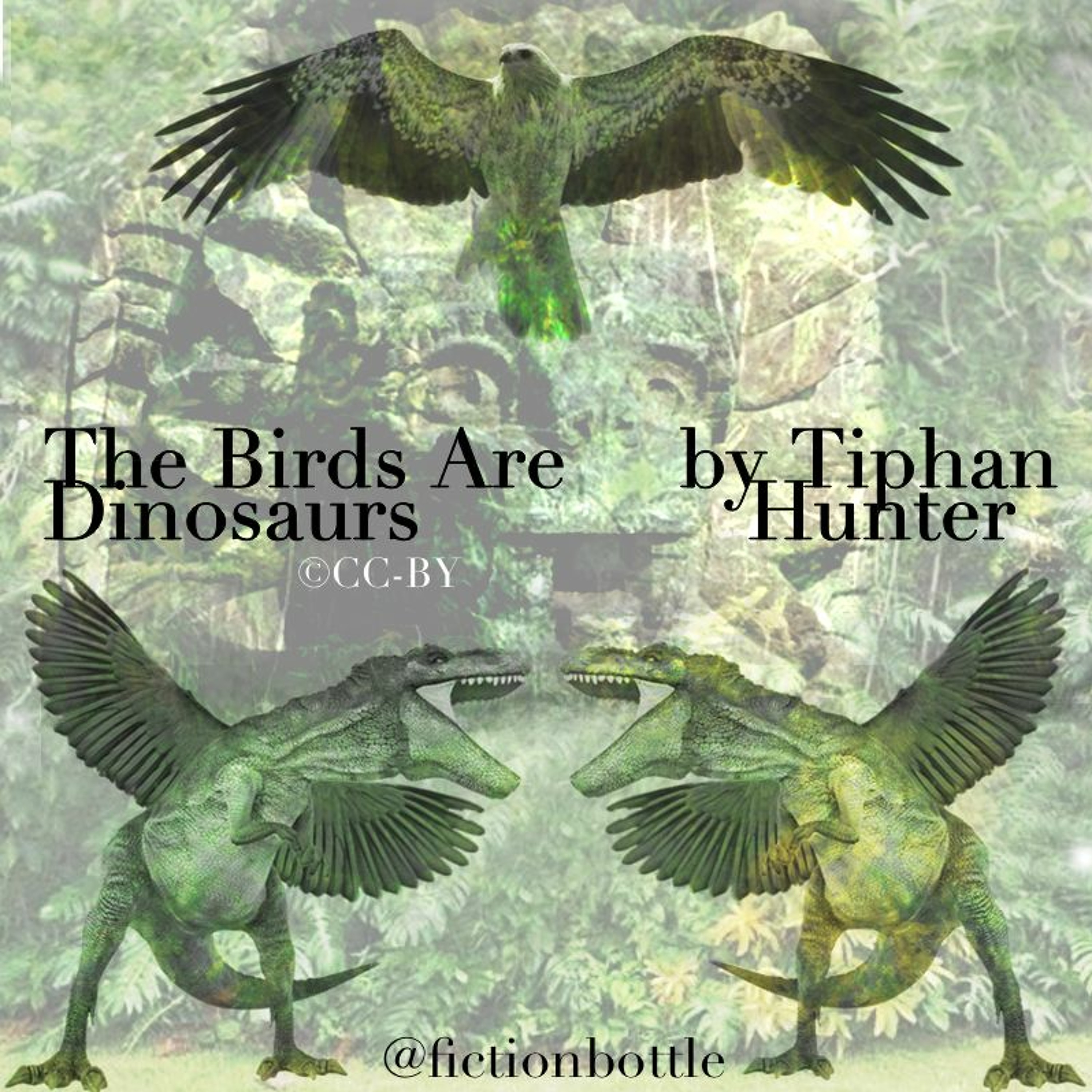 Tippi Hunter