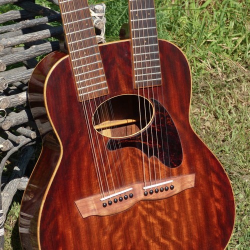 daion 12 string guitar