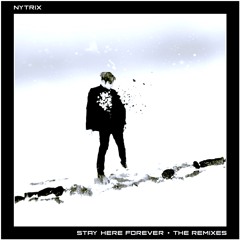 Stay Here Forever (Henry Fong & Chris Bushnell Remix)