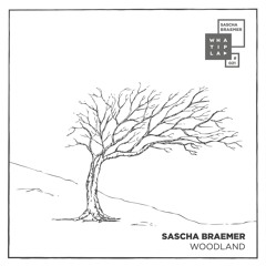 Sascha Braemer - "Woodland" (Original Mix) Snip