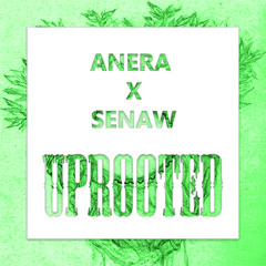 Anera & Senaw - Uprooted