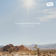 06 - Stee Downes - Life