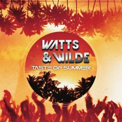 Taste Of Summer 2016 (Vocal radio edit)