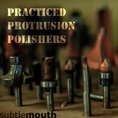 Practiced Protrusion Polishers