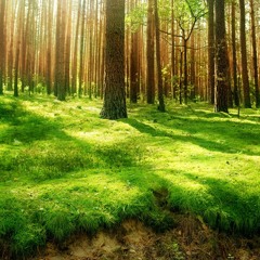 Alone in Silence