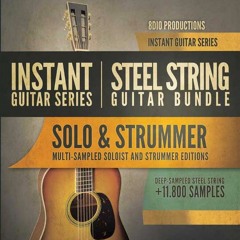 8Dio Instant Steel Guitar Bundle