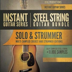 8Dio Instant Steel String Guitar: "Technical Demo"