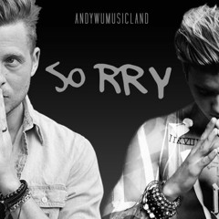 Justin Bieber & OneRepublic - Sorry   Apologize