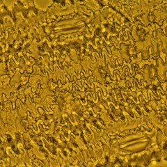 FE: Julia Cooke and Ken Thompson on plant silicon