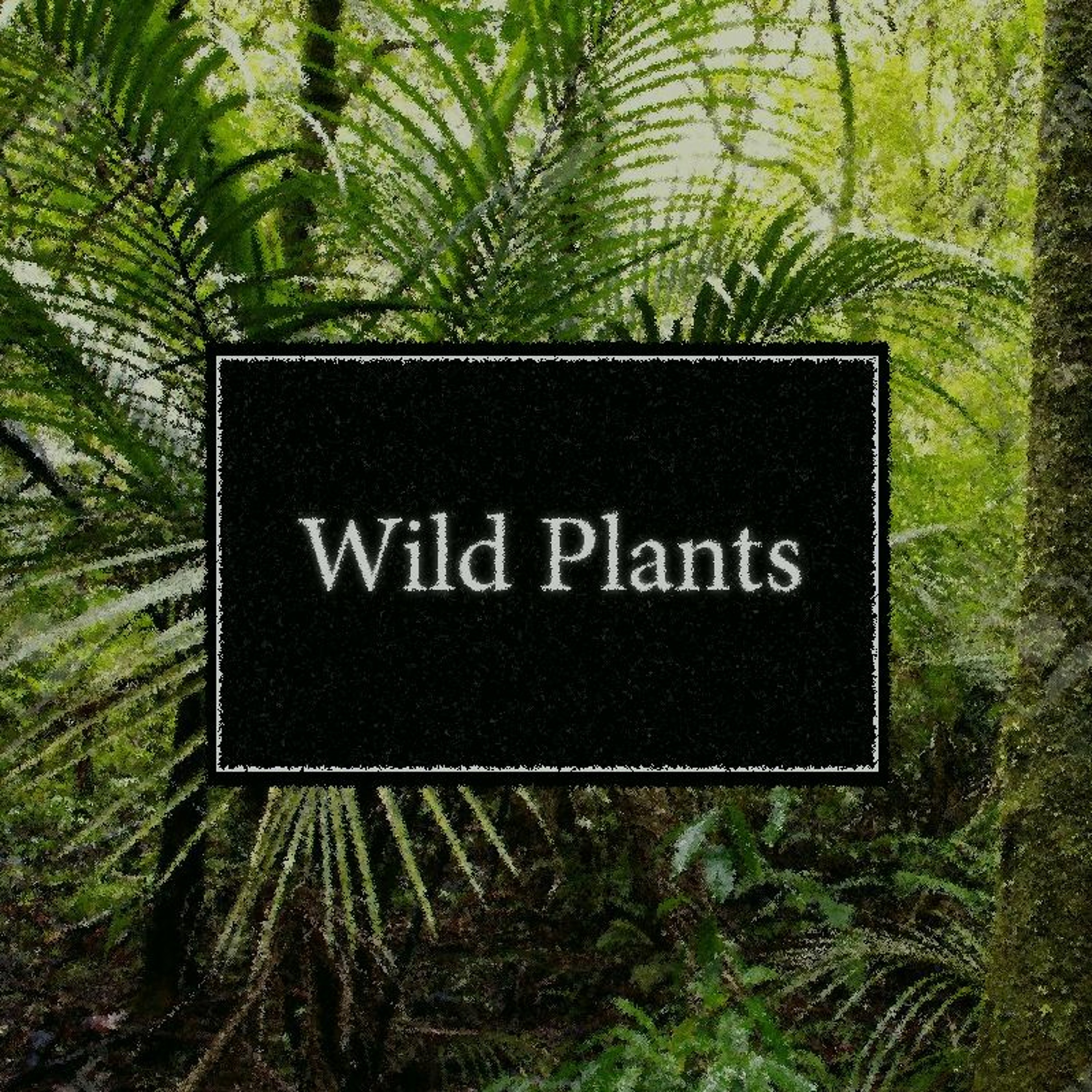 Wild Plants