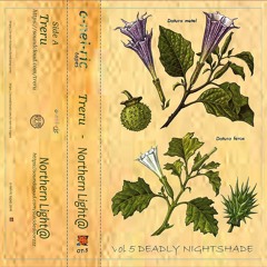 Northern Light@ ™