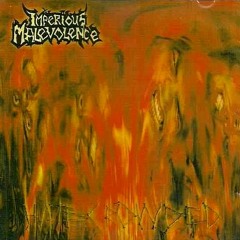 13 - From Eternal Vacuum Storms - Imperious Malevolence