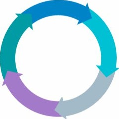 Phenomenology of evolution