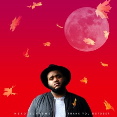 MekoSupreme // 24