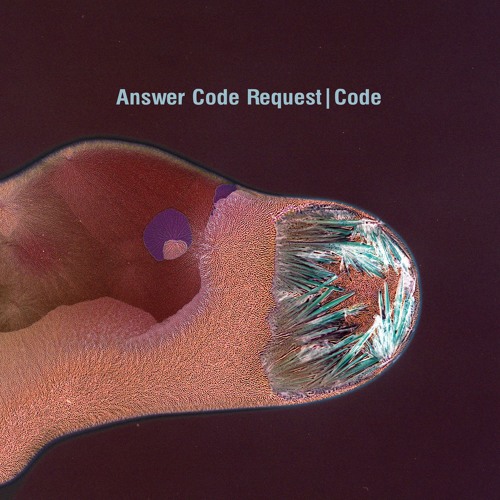 Answer Code Request | Code | ostgutcd31/lp17
