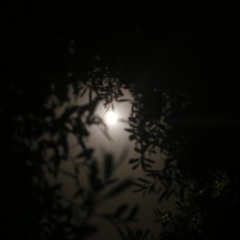 اغنية كايروكى - السكة شمال 2014 -