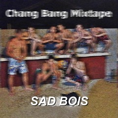 Sad Song (Not Anymore)- Wild Wild Smiff, MegunTrain0rFan