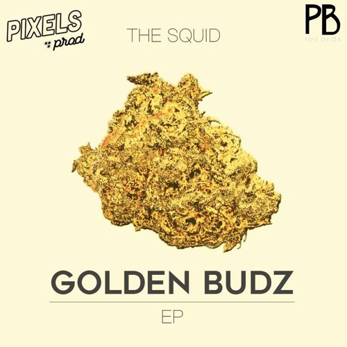 THE SQUID - HANGAR ( OUT NOW ON PANDABEATRECS )