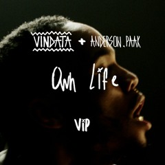 Own Life ft. Anderson .Paak (Vindata VIP Mix)