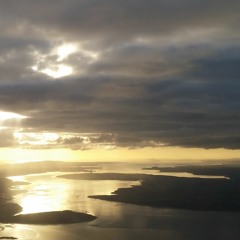 The Last Flight Home