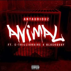 Animal ( Antauriouz X C-Trillionaire ft. Black Quay )