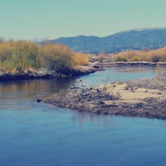 Soundscapes